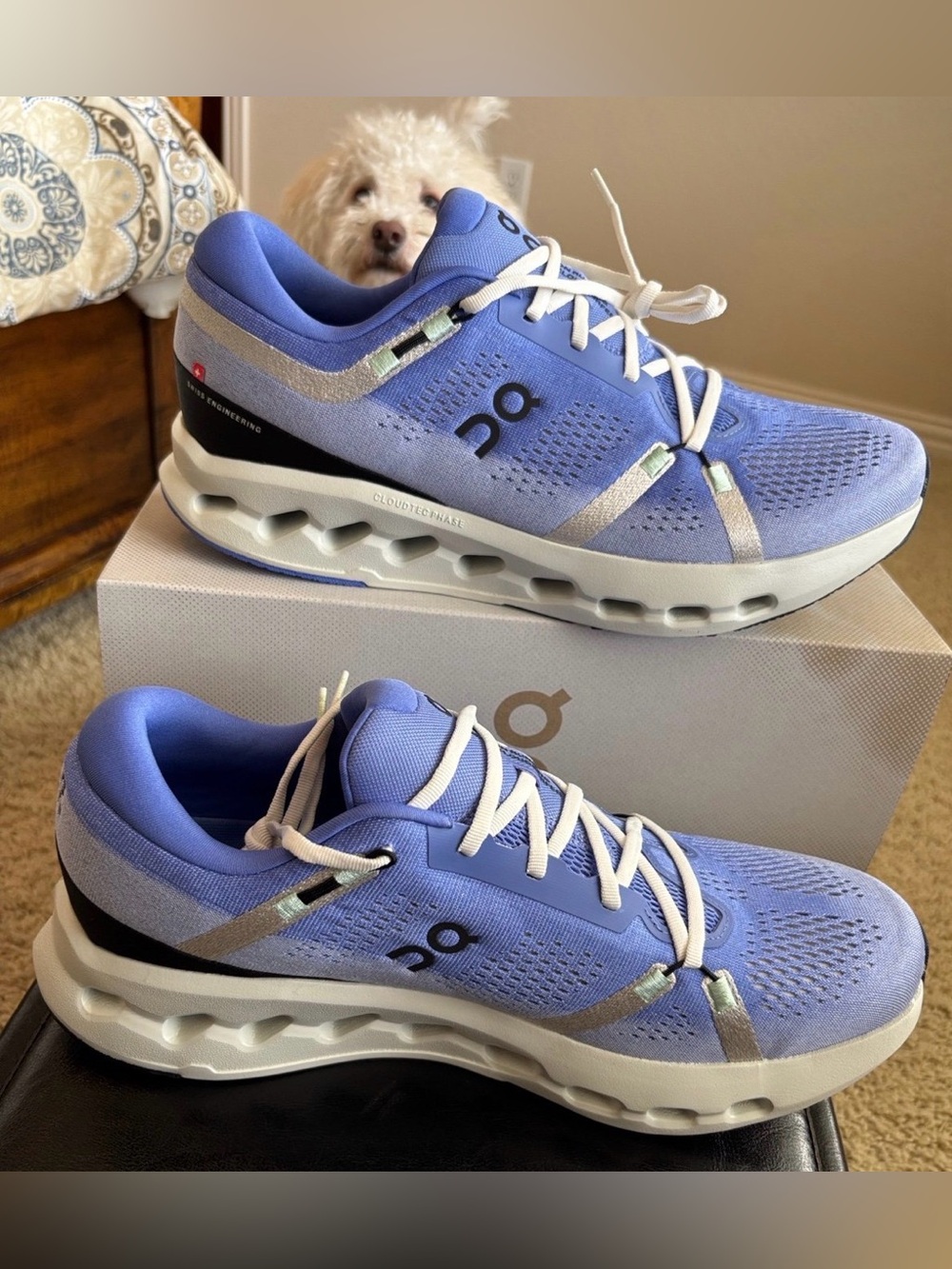 On Cloudsurfer Running Shoes
